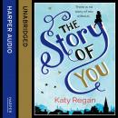 The Story of You Audiobook