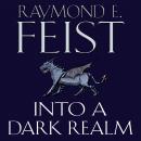 Into a Dark Realm Audiobook