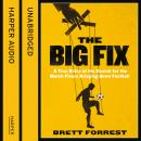 The Big Fix Audiobook