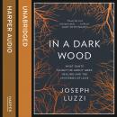 In a Dark Wood: What Dante Taught Me About Grief, Healing, and the Mysteries of Love Audiobook