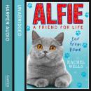Alfie Far From Home Audiobook