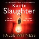 False Witness Audiobook
