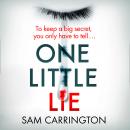 One Little Lie Audiobook