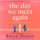 The Day We Meet Again Audiobook