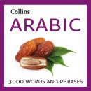 Arabic: 3000 words and phrases Audiobook