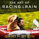 The Art of Racing in the Rain Audiobook