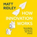 How Innovation Works Audiobook