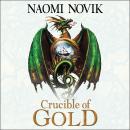 Crucible of Gold Audiobook