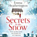 Secrets in the Snow Audiobook