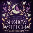 Shadowstitch Audiobook