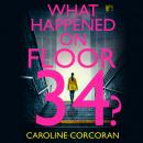What Happened on Floor 34? Audiobook