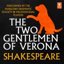 The Two Gentlemen Of Verona Audiobook