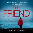 The Friend Audiobook