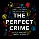The Perfect Crime Audiobook