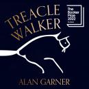 Treacle Walker Audiobook
