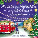 Mistletoe and Mulled Wine at the Christmas Campervan