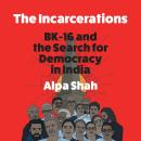 The Incarcerations Audiobook
