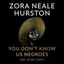 You Don’t Know Us Negroes and Other Essays Audiobook