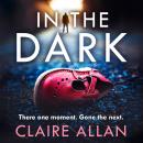 In The Dark Audiobook