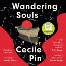 Wandering Souls Audiobook