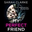 My Perfect Friend Audiobook