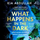 What Happens in the Dark Audiobook
