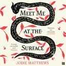 Meet Me at the Surface Audiobook