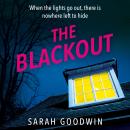 The Blackout Audiobook