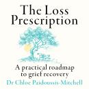 The Loss Prescription: A practical roadmap to grief recovery Audiobook