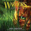 Into the Wild Audiobook