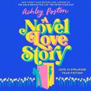 A Novel Love Story Audiobook