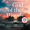 The God of the Woods Audiobook