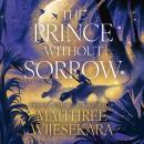 The Prince Without Sorrow Audiobook