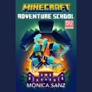 Minecraft Adventure School Novel Audiobook