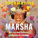 Marsha: The Joy and Defiance of Marsha P. Johnson Audiobook