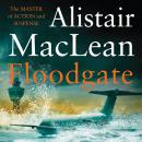 Floodgate Audiobook