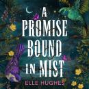 A Promise Bound in Mist Audiobook