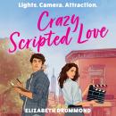 The Crazy Scripted Love Audiobook