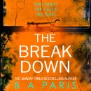 The Breakdown Audiobook