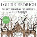 The Last Report on the Miracles at Little No Horse: A Novel Audiobook