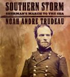 Southern Storm Audiobook