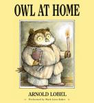 Owl at Home