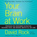 Your Brain at Work: Strategies for Overcoming Distraction, Regaining Focus, and Working Smarter All Day Long, David Rock