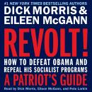 Revolt!: How to Defeat Obama and Repeal His Socialist Programs, Eileen McGann, Dick Morris