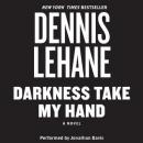 Darkness, Take My Hand, Dennis Lehane