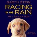 Racing in the Rain Audiobook