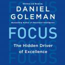 Focus: The Hidden Driver of Excellence Audiobook