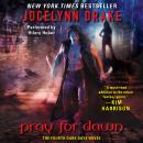 Pray For Dawn: The Fourth Dark Days Novel Audiobook