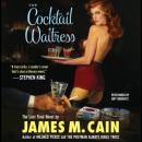 The Cocktail Waitress Audiobook