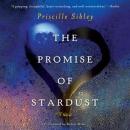 The Promise of Stardust: A Novel Audiobook